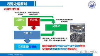 城市污水廠污泥處置工藝技術(shù)路線研究與軟件技術(shù)開發(fā) — 以同濟(jì)戴曉虎團(tuán)隊(duì)成果為例