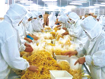 食品加工及存儲(chǔ)產(chǎn)業(yè)的現(xiàn)狀與未來趨勢(shì)