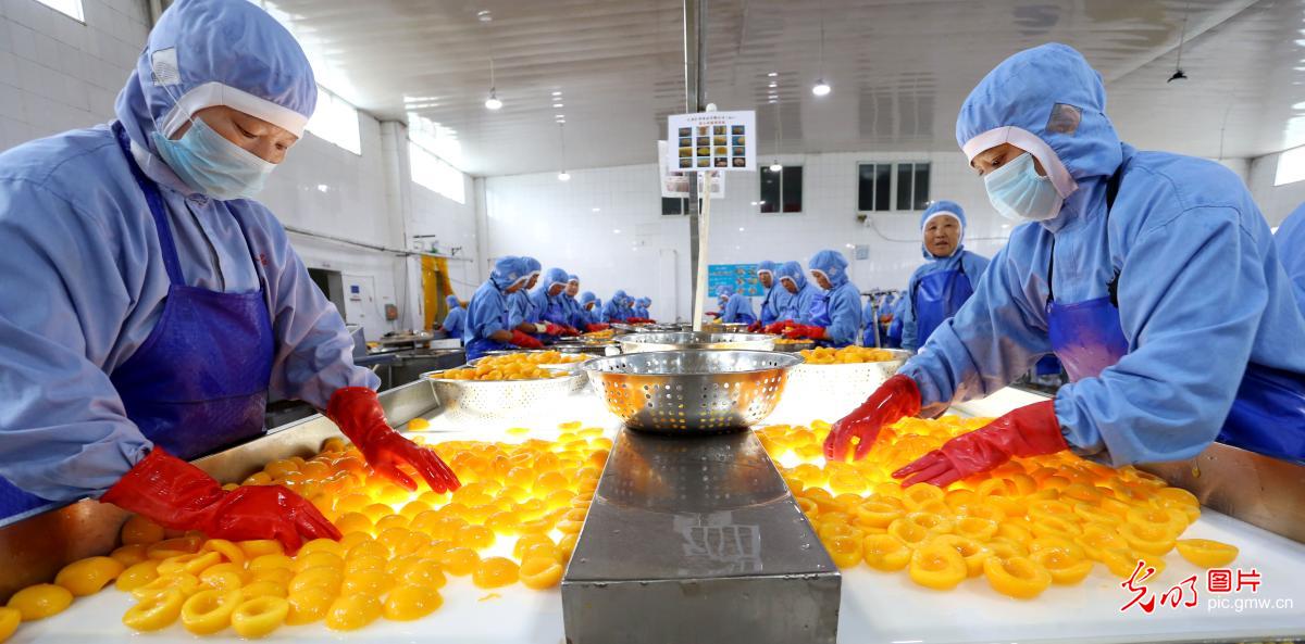 食品深加工出口忙 全球餐桌上的中國新味道